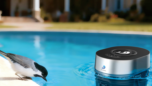Finwhale: The Pool Robot for Effortless Pool Maintenance