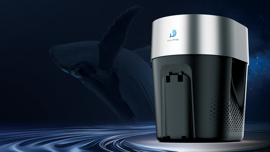 Robotic Dispenser: Transforming Pool Maintenance into an Effortless Experience