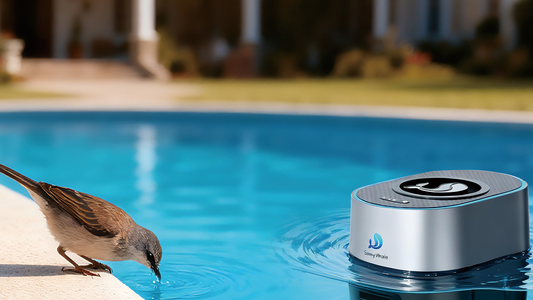 Enhancing Poolside Enjoyment with Robot Dispensers