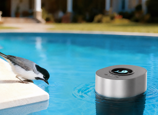 Enhancing Poolside Enjoyment with FinWhale™ Smart Chlorine Dispenser