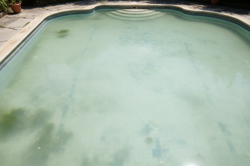 Most Pool Owners Are Constantly Testing Adjusting And Hoping They Got It Right Chlorine Levels Swing More Than People Realize And It S Not Always Obvious Until Something Looks Off Clo for SunnyWhale smart pool water care